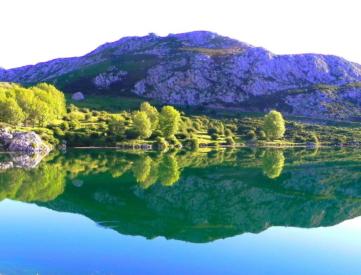 Turismo Rural El Sidron ξενώνας Piloña Εξωτερικό φωτογραφία